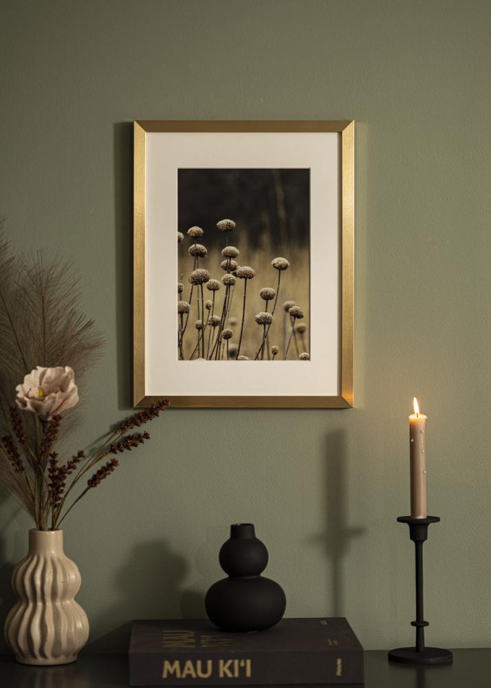 BGA Rahmen Selection Acrylglas Gold 30x40 cm