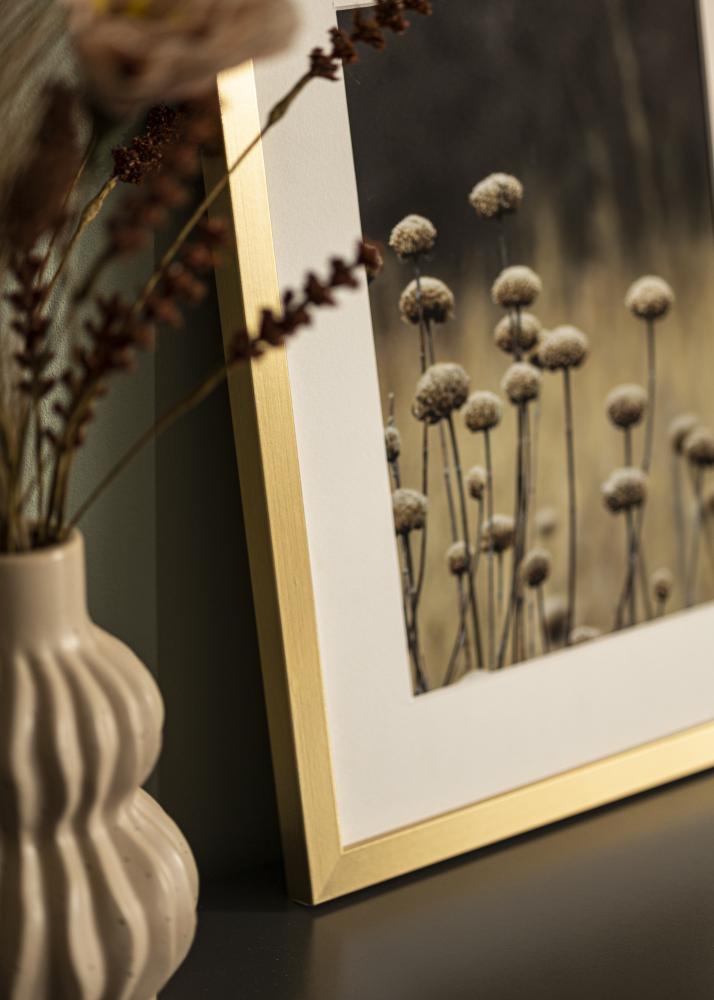 BGA Rahmen Selection Acrylglas Gold 30x40 cm