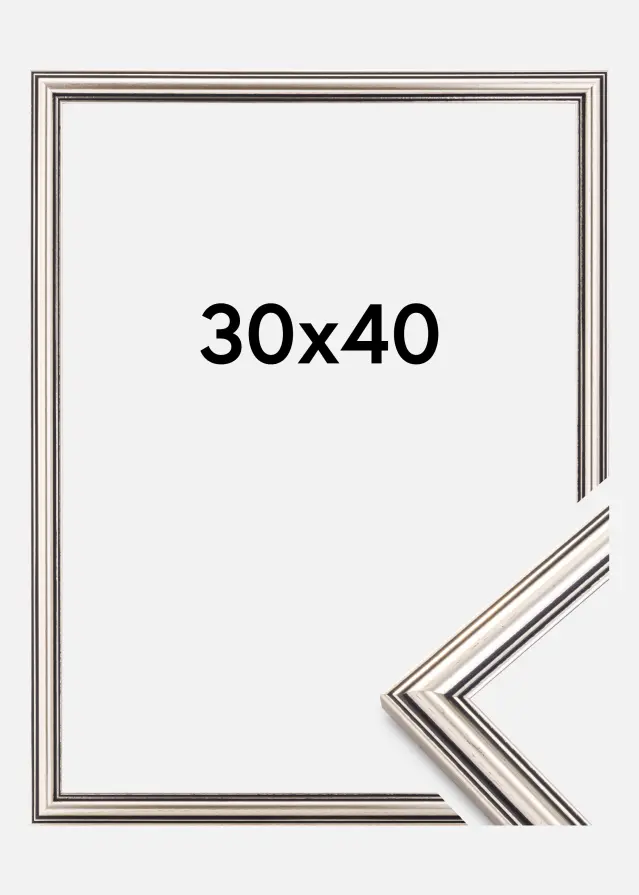 Focus Rahmen Tango Silber 30x40 cm
