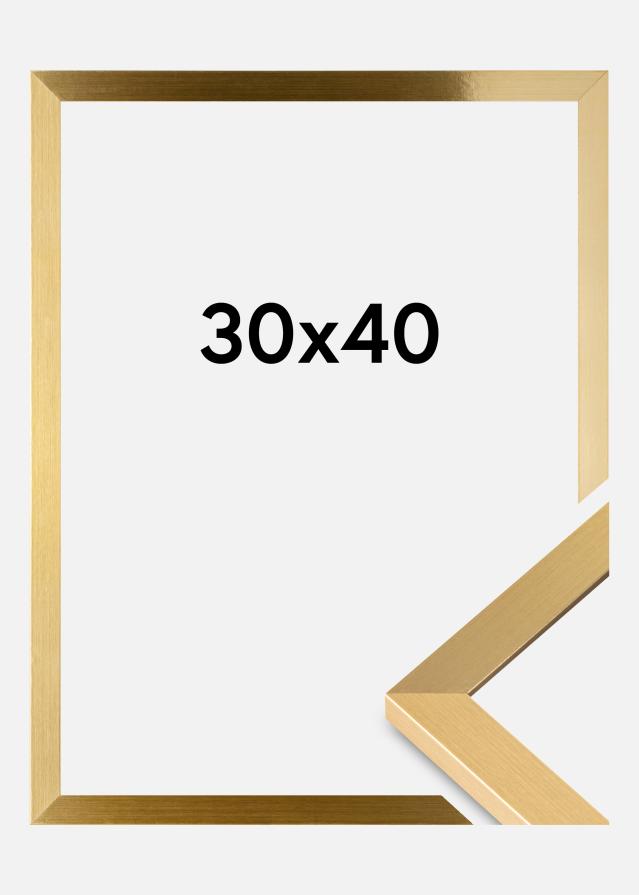 BGA Rahmen Selection Acrylglas Gold 30x40 cm