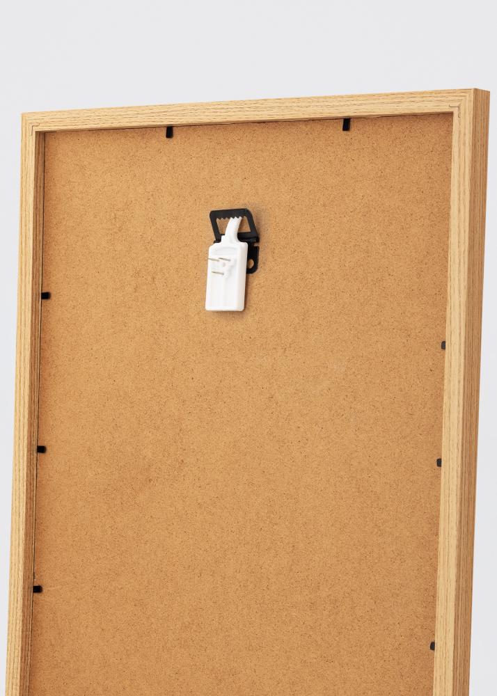 ID Factory XG - 138 Bilderhaken für jede Wand - BGA Bilderhaken 2-p