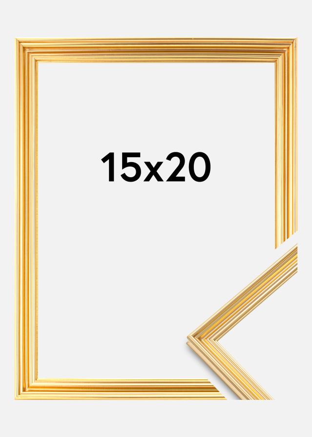 Focus Rahmen Verona Gold 15x20 cm