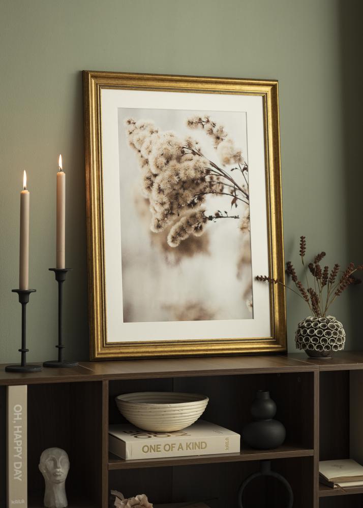 Estancia Rahmen Rokoko Acrylglas Gold 50x50 cm