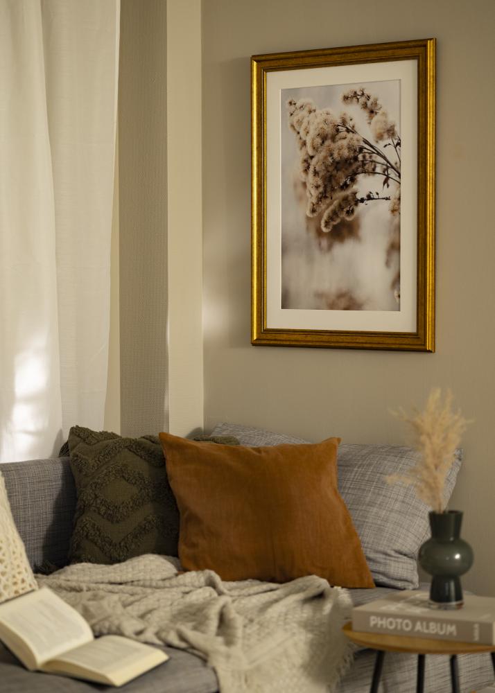 Estancia Rahmen Rokoko Acrylglas Gold 50x50 cm