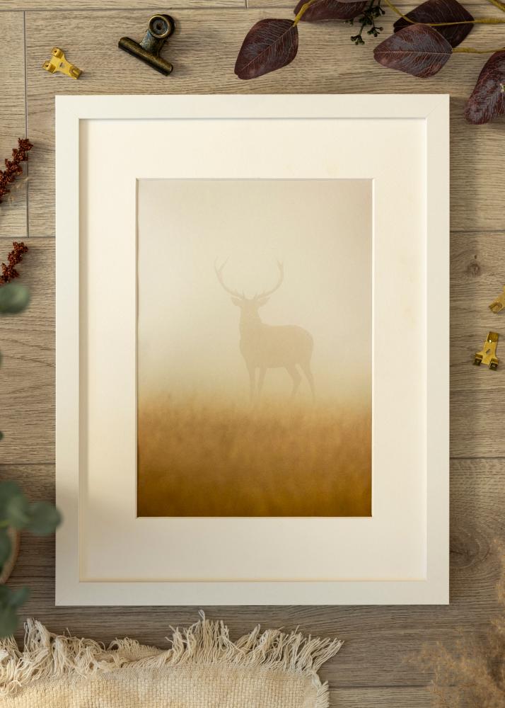 BGA Rahmen BGA Classic Acrylglas Weiß 60x80 cm