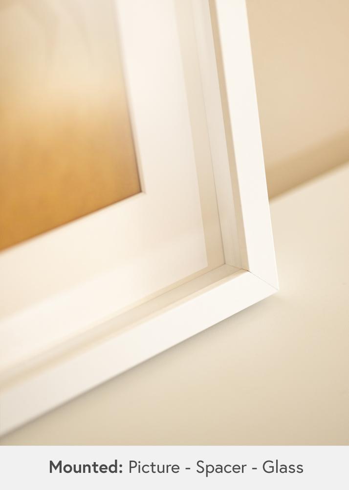 BGA BGA Objektrahmen Acrylglas Weiß 21x29,7 cm (A4)