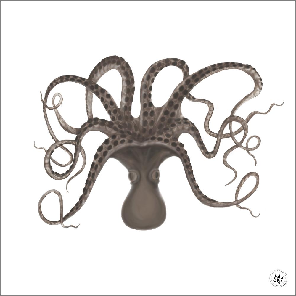 Knaada AB Knaada - Bläckfisk - 50x50 cm Poster