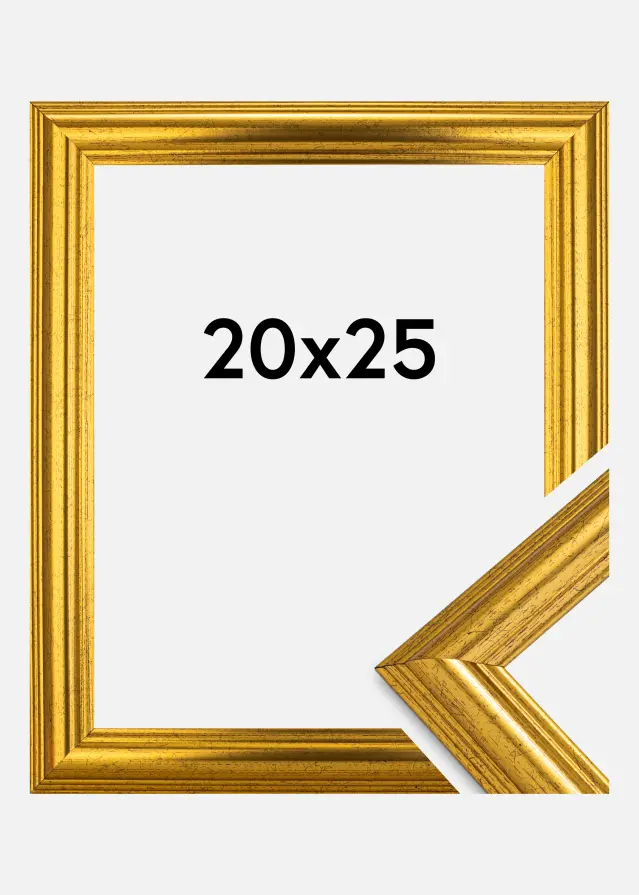 Galleri 1 Rahmen Västkusten Acrylglas Gold 20x25 cm