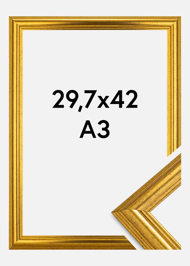 Galleri 1 Rahmen Västkusten Gold 29,7x42 cm (A3)
