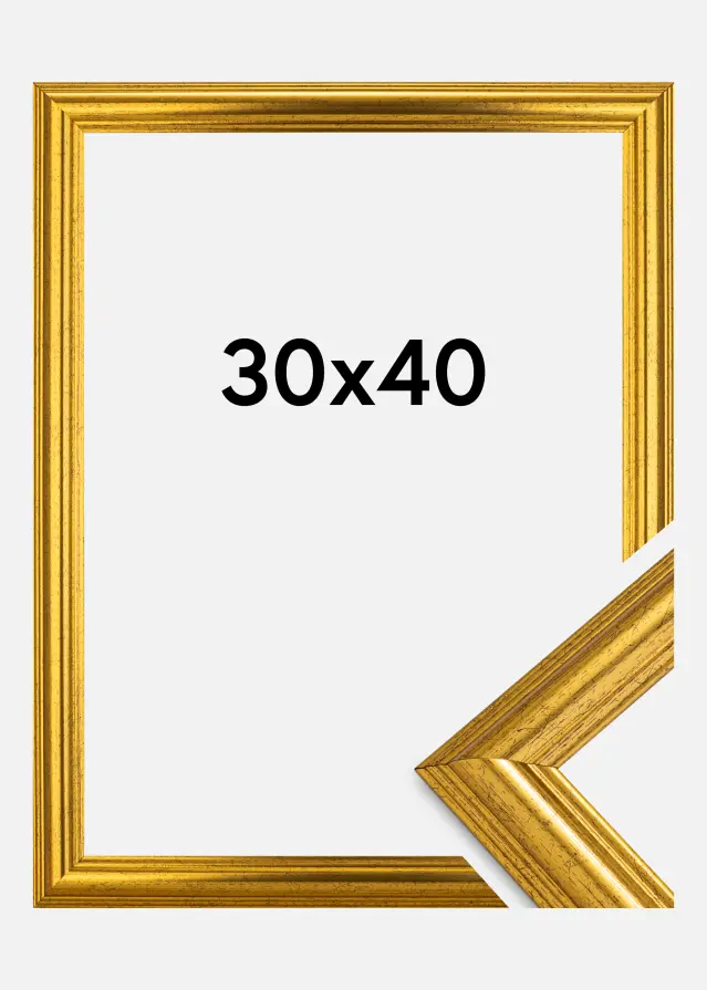 Innova Rahmen Västkusten Acrylglas Gold 30x40 cm