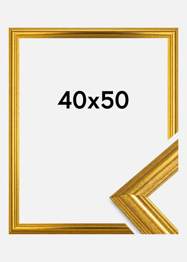 Innova Rahmen Västkusten Acrylglas Gold 40x50 cm