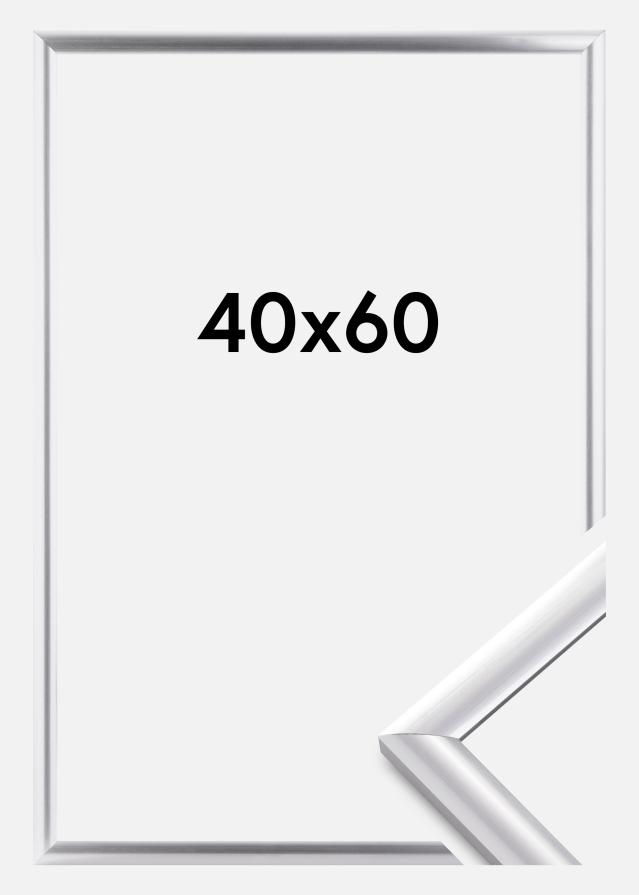 Walther Rahmen Trendstyle Silber 40x60 cm