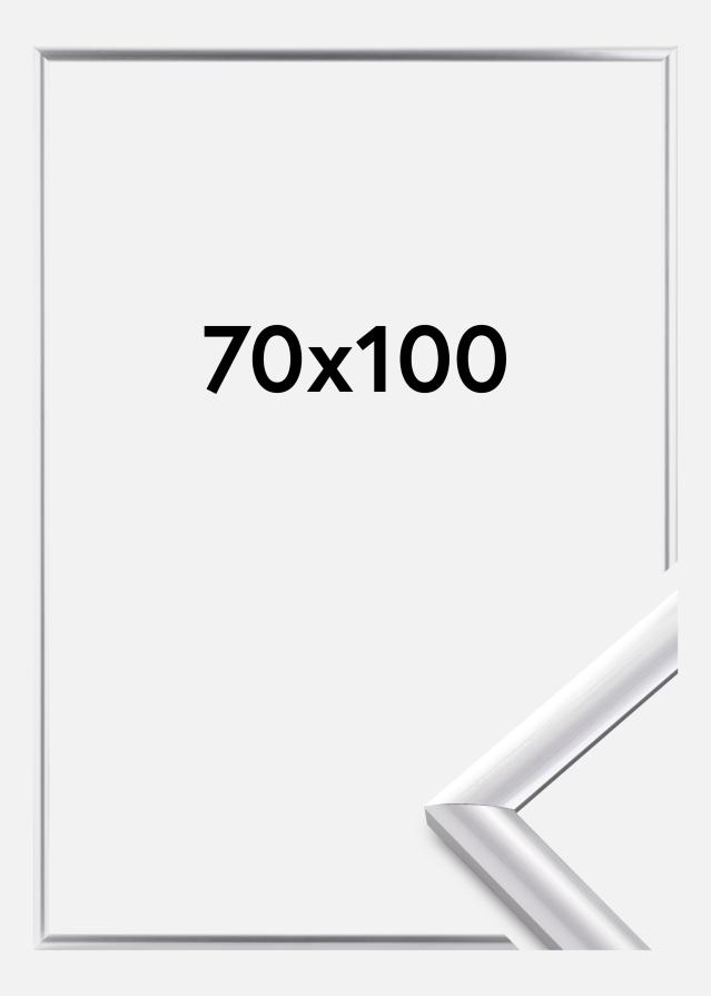 Walther Rahmen Trendstyle Silber 70x100 cm