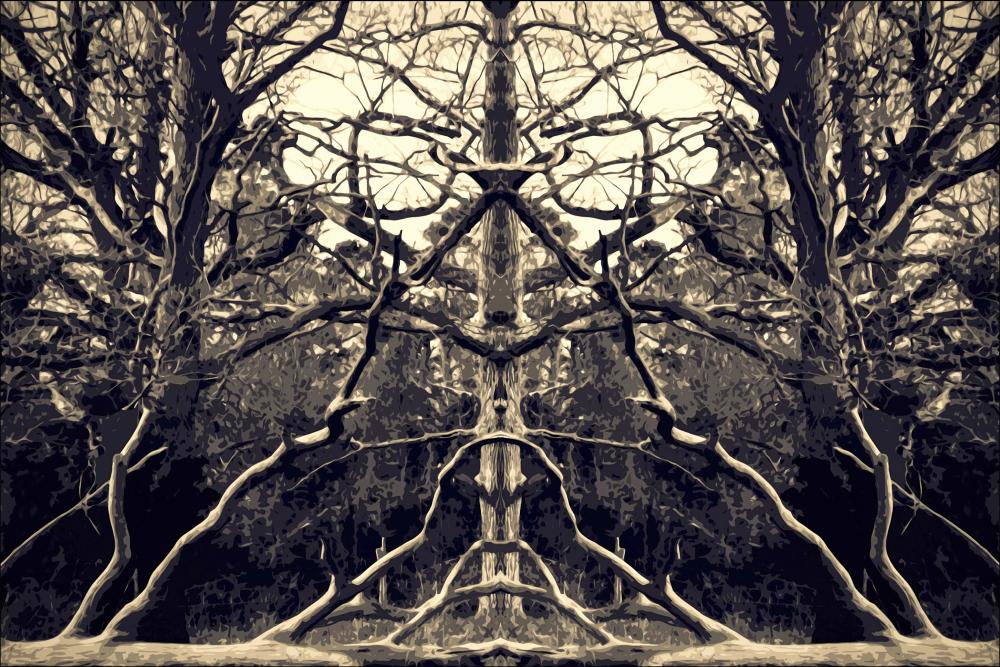 Bildverkstad Brushwood Poster