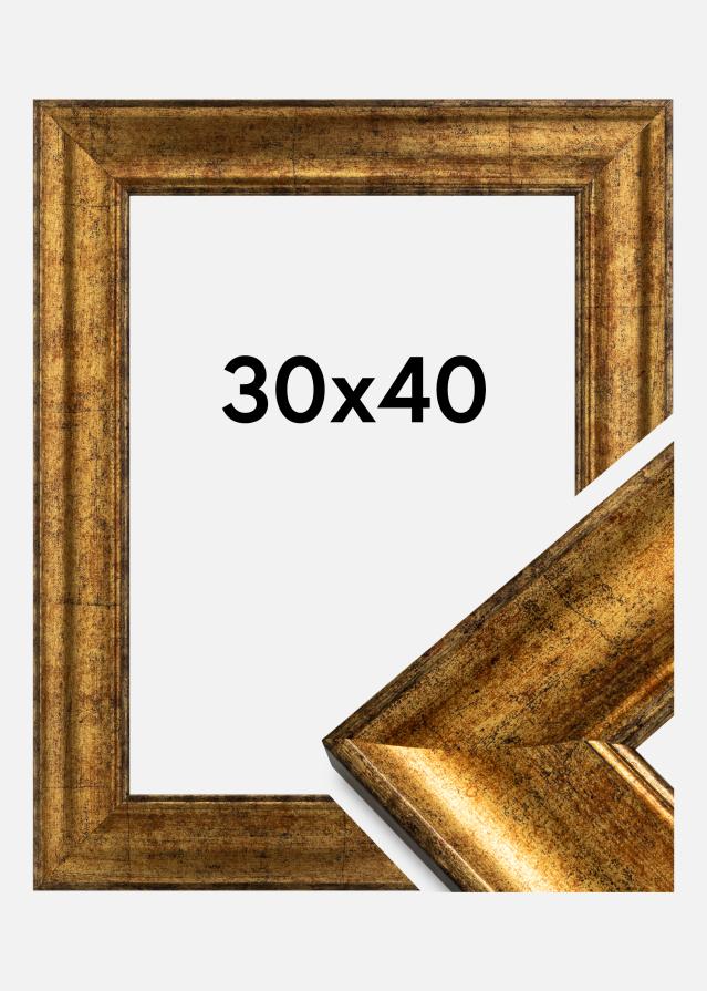 Galleri 1 Rahmen Saltsjöbaden Acrylglas Gold 30x40 cm