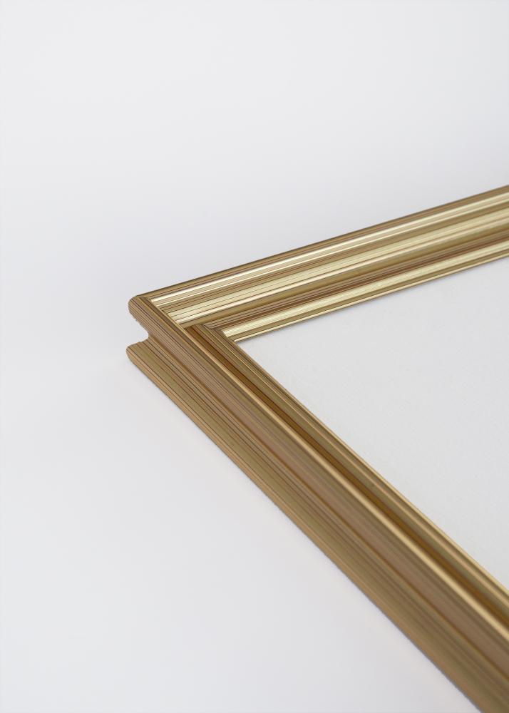 Focus Rahmen Verona Gold 20x30 cm