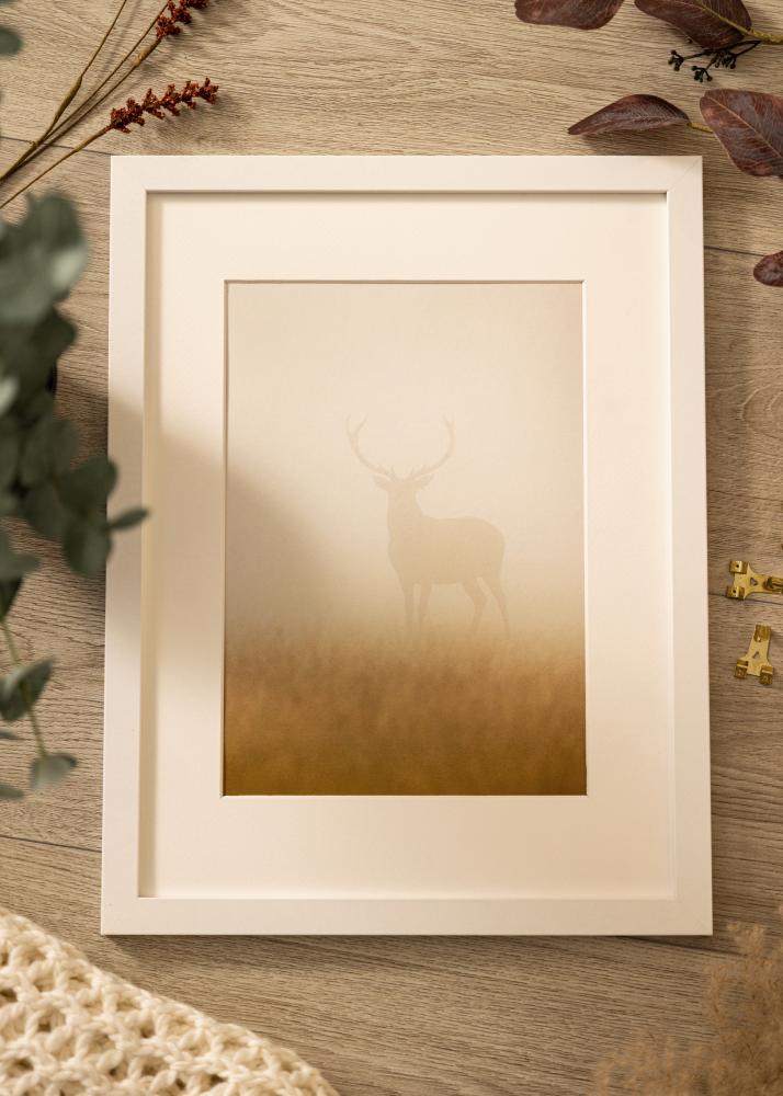 BGA Rahmen Deco Acrylglas Weiß 18x24 cm