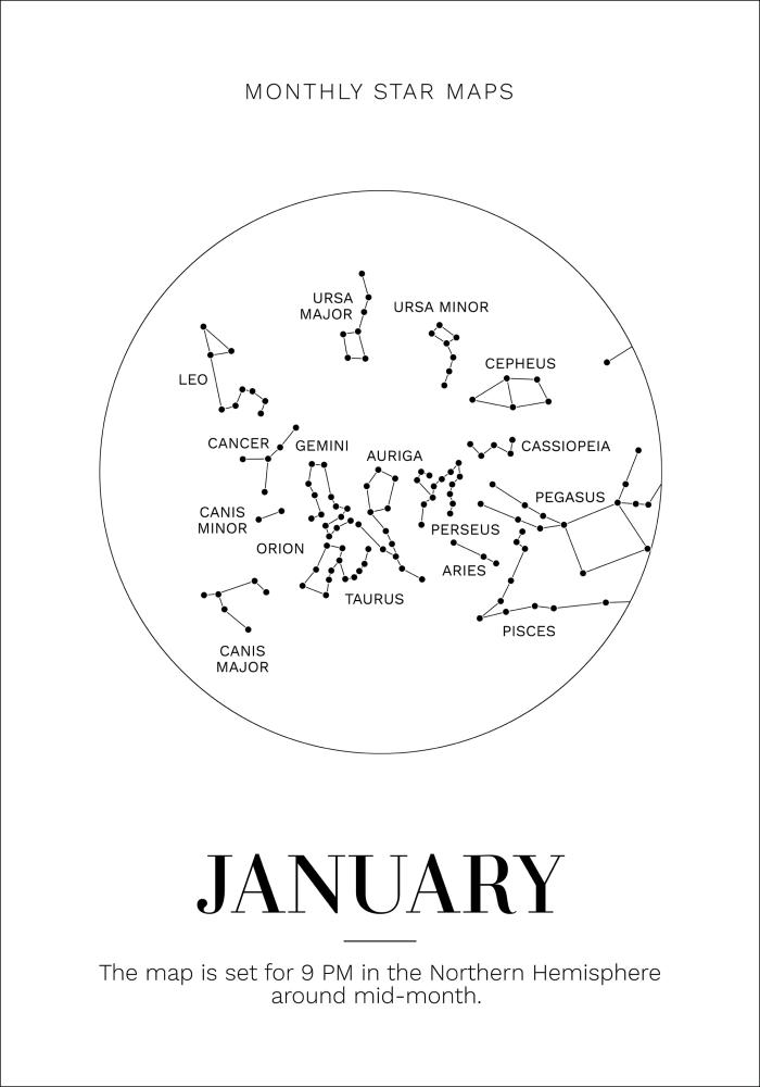 Bildverkstad Monthly star January Poster