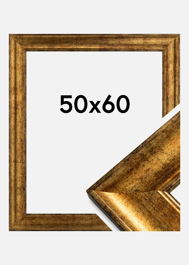 Galleri 1 Rahmen Saltsjöbaden Acrylglas Gold 50x60 cm