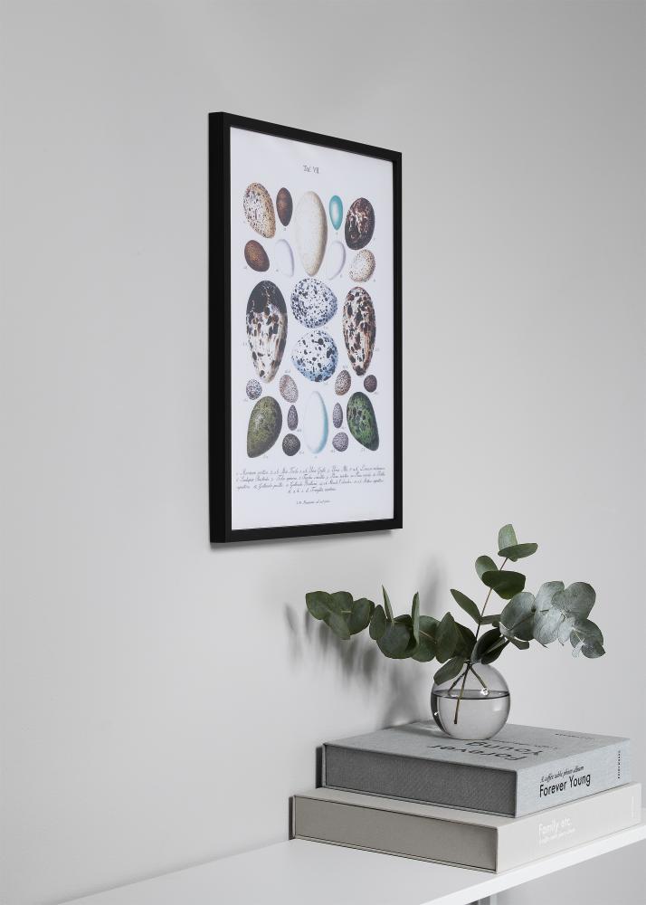 Ram med passepartou Rahmen Oslo Schwarz 60x60 cm - Passepartout Schwarz 50x50 cm