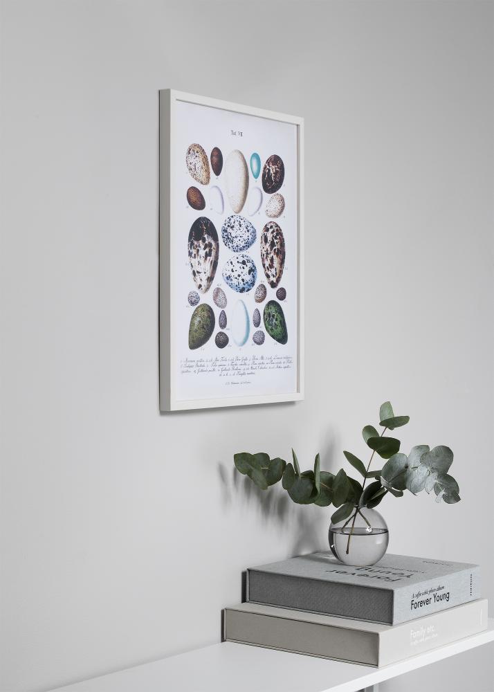 Ram med passepartou Rahmen Oslo Weiß 30x40 cm - Passepartout Schwarz 18x27 cm