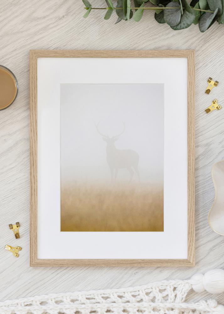 BGA Rahmen Trendy Acrylglas Eiche 20x28 cm