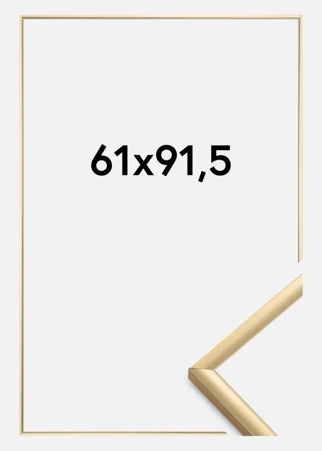 Walther Rahmen New Lifestyle Acrylglas Gold 61x91,5 cm