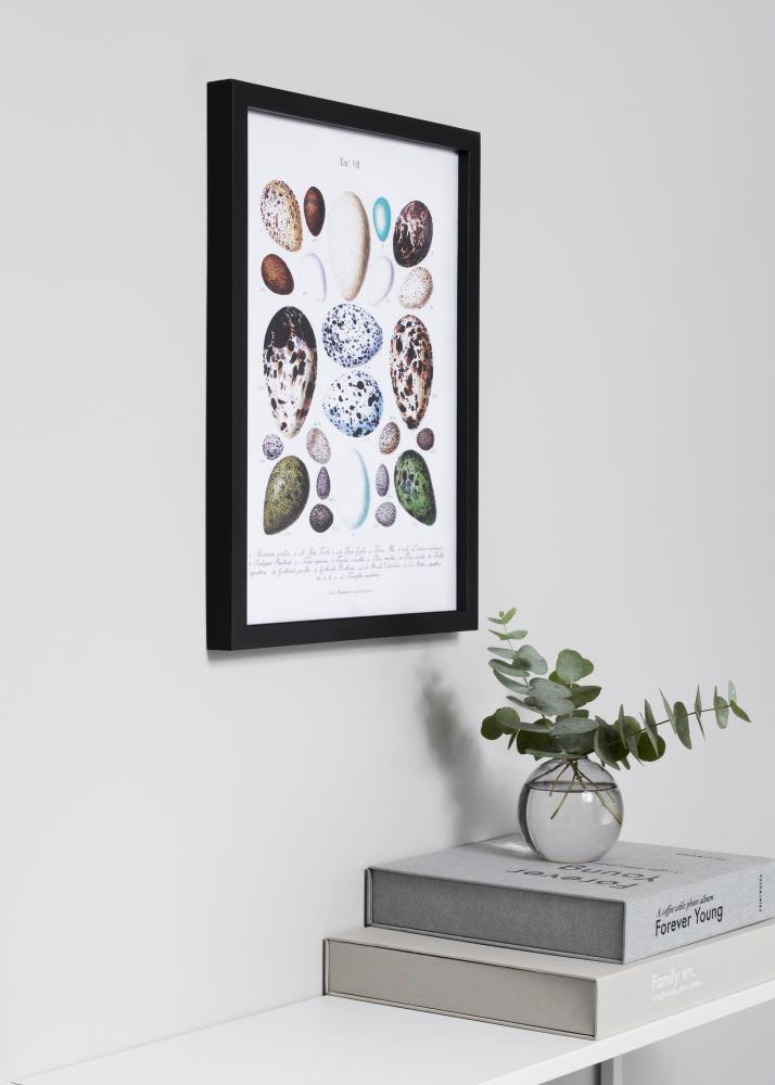 Estancia Rahmen Exklusiv Schwarz 40x50 cm