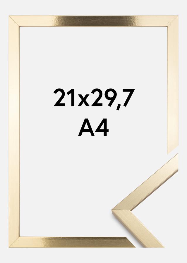 BGA Rahmen Trendy Acrylglas Gold 21x29,7 cm (A4)