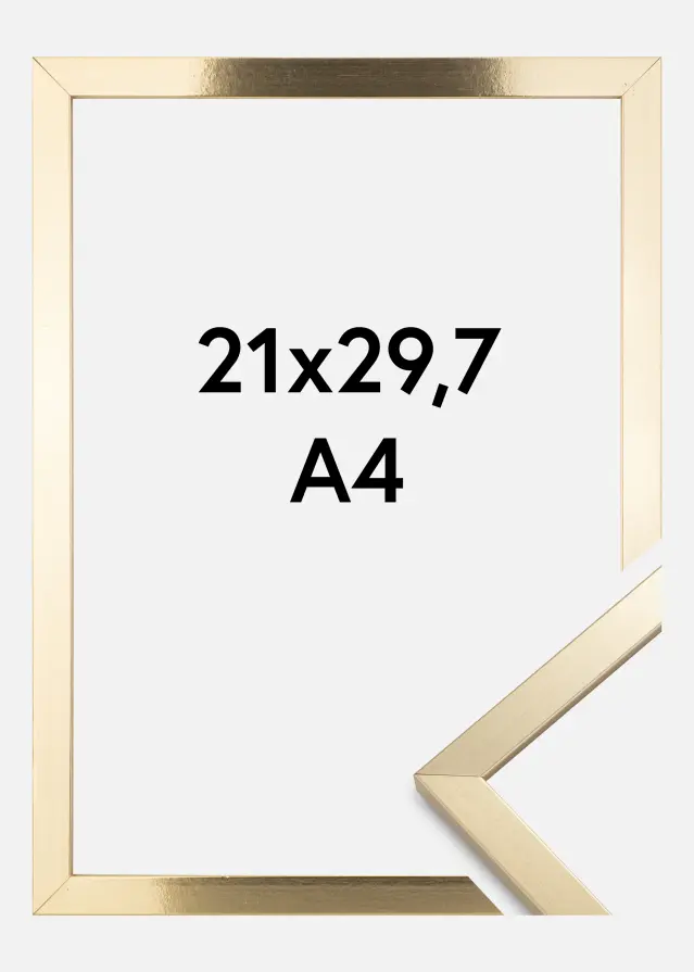 BGA Rahmen Trendy Acrylglas Gold 21x29,7 cm (A4)
