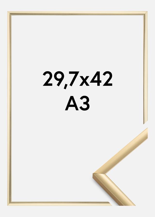 Walther Rahmen New Lifestyle Gold 29,7x42 cm (A3)