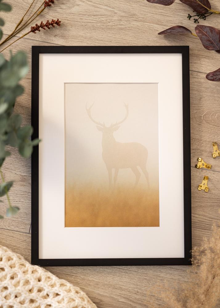 BGA Rahmen Modern Acrylglas Schwarz 40x60 cm