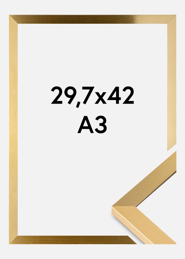 BGA Rahmen Selection Acrylglas Gold 29,7x42 cm (A3)