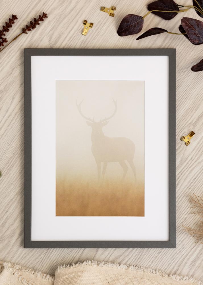 BGA Rahmen Modern Acrylglas Graphit 29,7x42cm (A3)